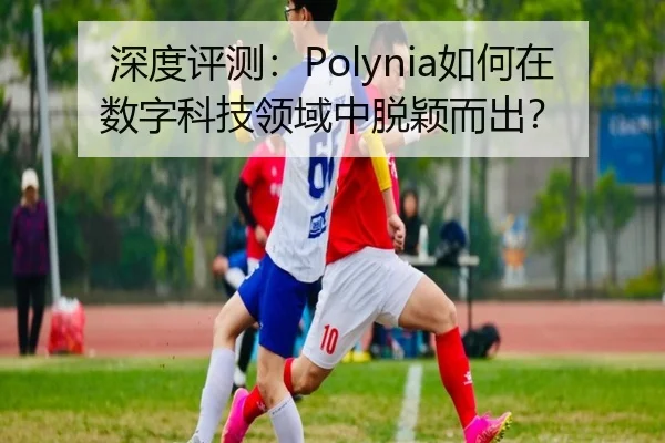 深度评测：Polynia如何在数字科技领域中脱颖而出？ | leyu