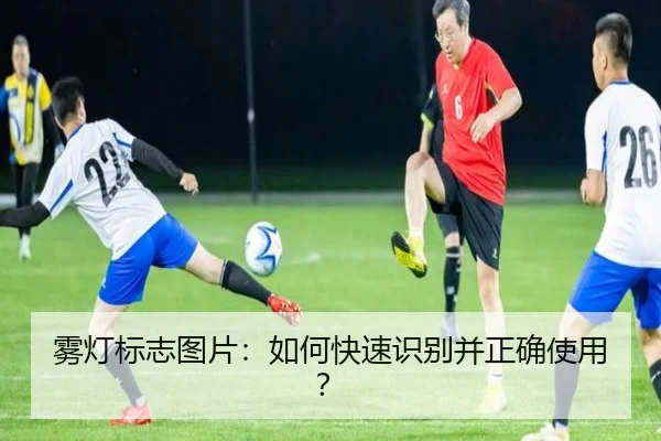 雾灯标志图片：如何快速识别并正确使用？ - leyu